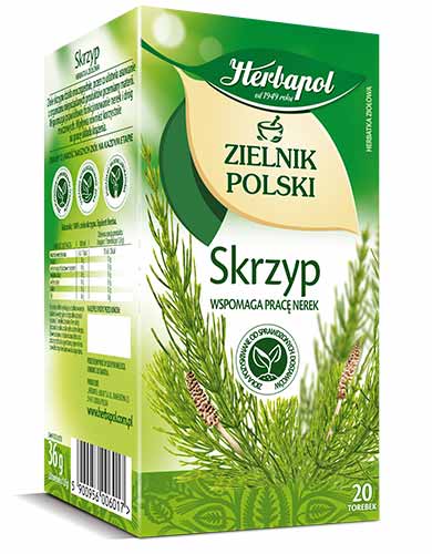 Herbapol Zielnik Polski Skrzyp 20 Torebek