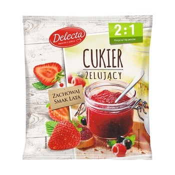 Delecta Cukier Żelujący 2/1  500g