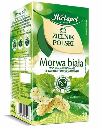 Herbapol Zielnik Polski Morwa Biała 20 Torebek